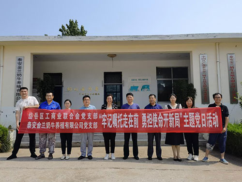 图片7 图片7