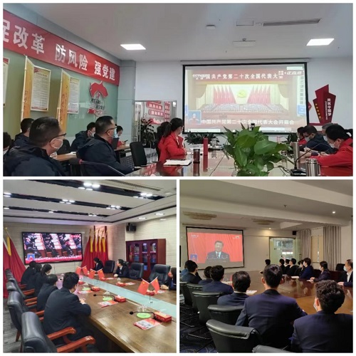 图片5