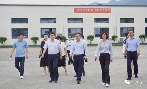 图片5 图片5