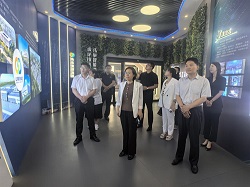 图片7