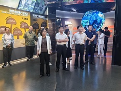 图片8
