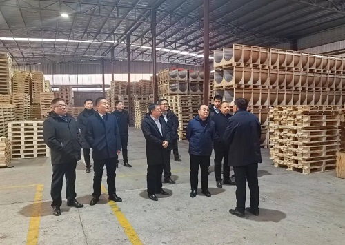 图片9 图片9