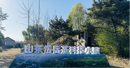 图片6(1)
