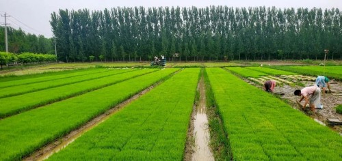 微信图片_20250507103924