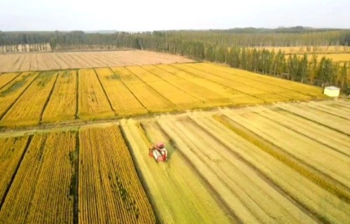 微信图片_20250507103939