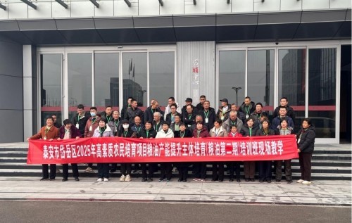 图片8 图片8